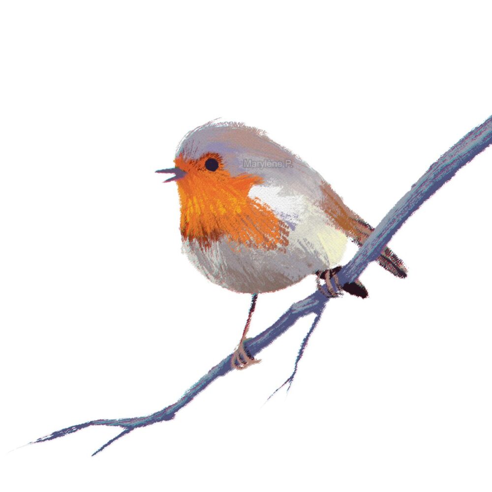 Robin !