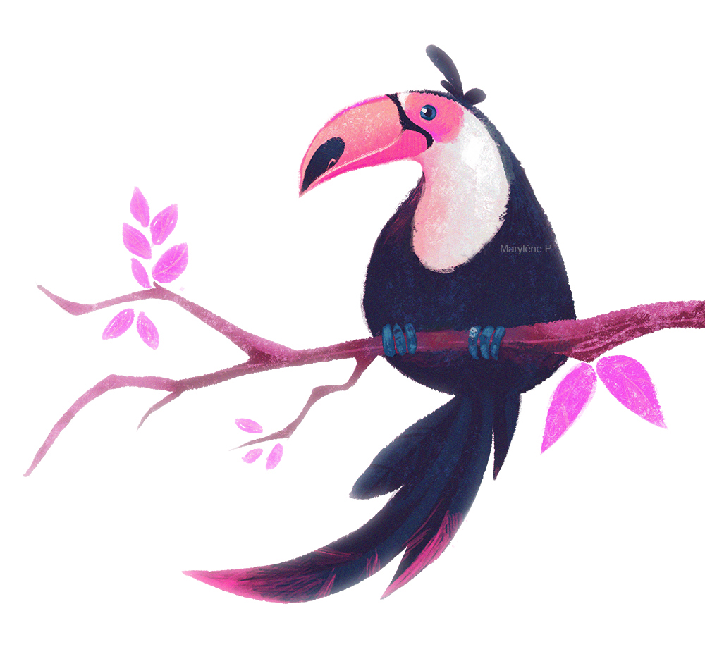 Toucan