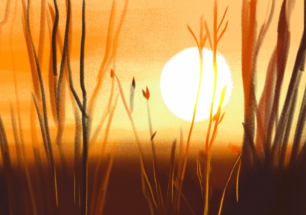 Etude rapide - 10 min