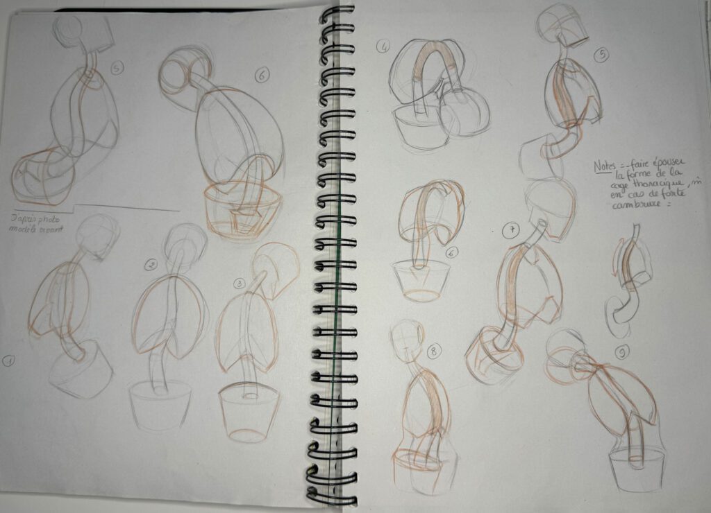 On retourne à l'école et on bosse l'anatomie !