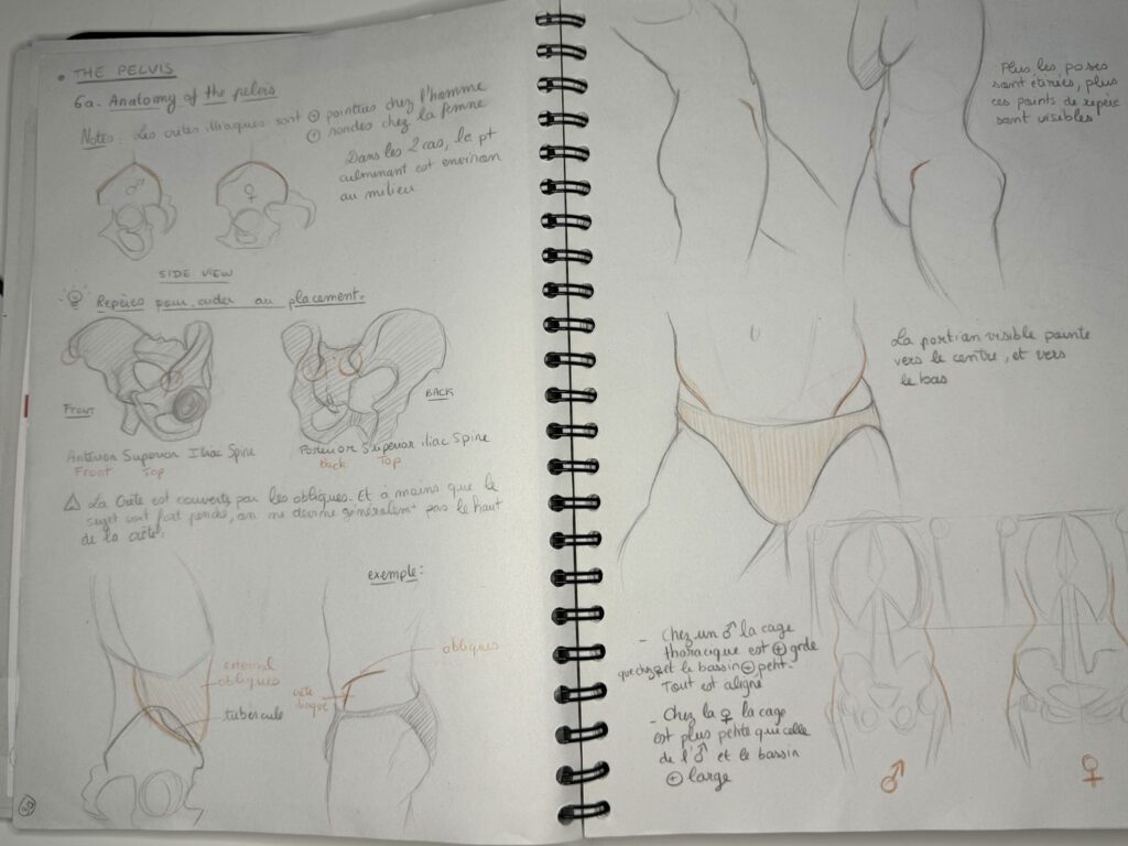 On retourne à l'école et on bosse l'anatomie !