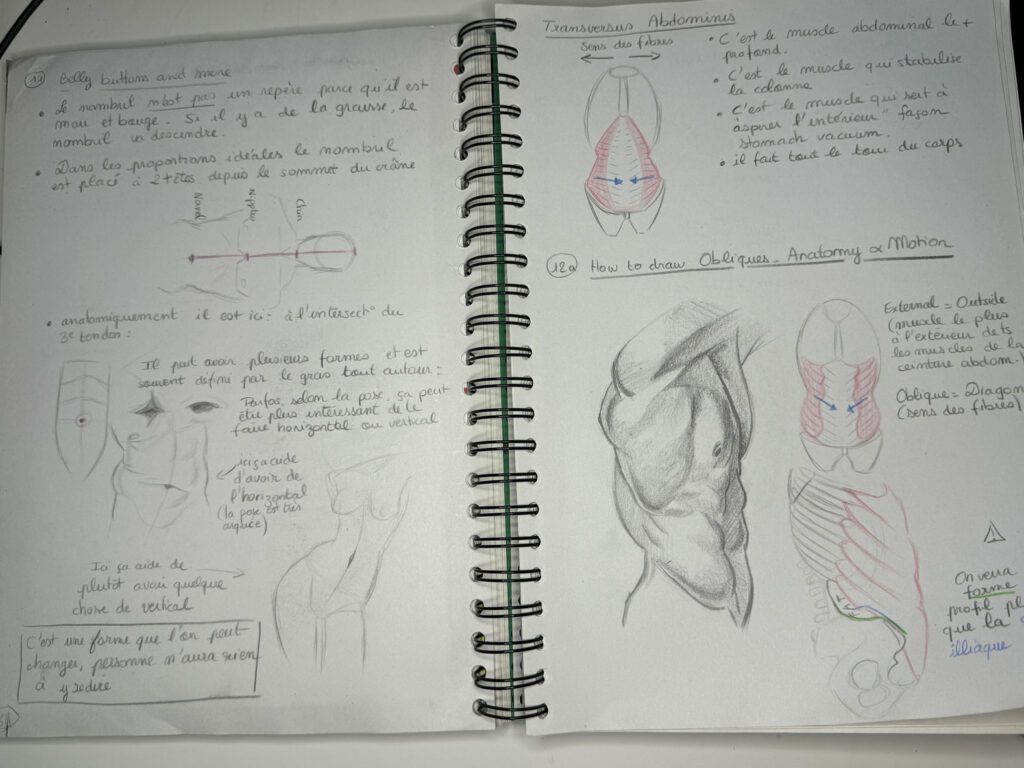 On retourne à l'école et on bosse l'anatomie !