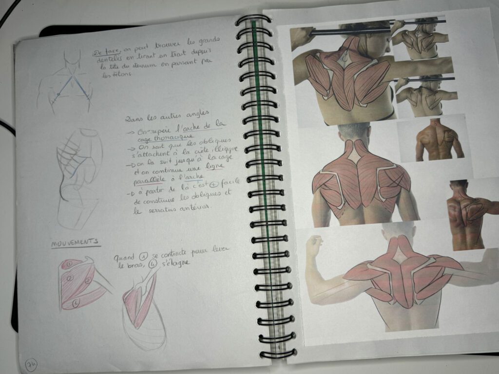 On retourne à l'école et on bosse l'anatomie !